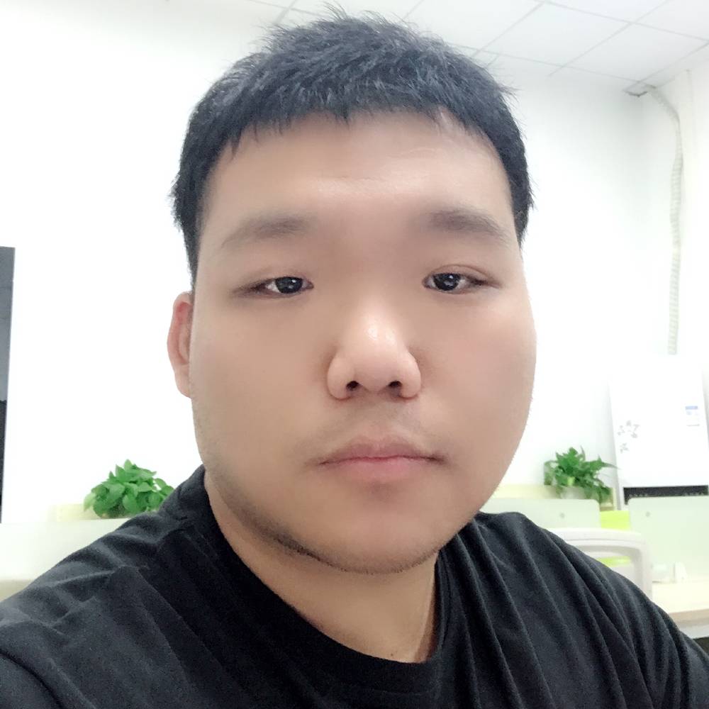 雪熊的照片