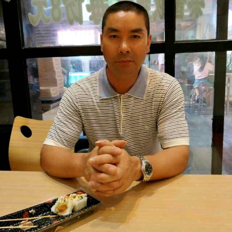 白猫发嗲的照片