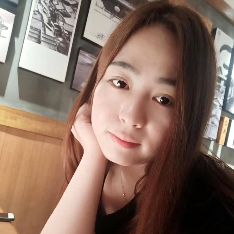 小海豚浅吻健壮的照片