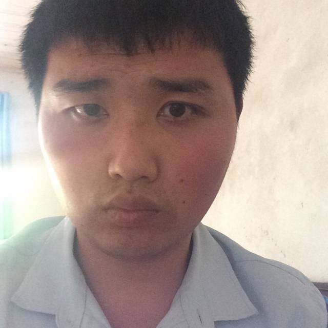 柔弱与热狗的照片