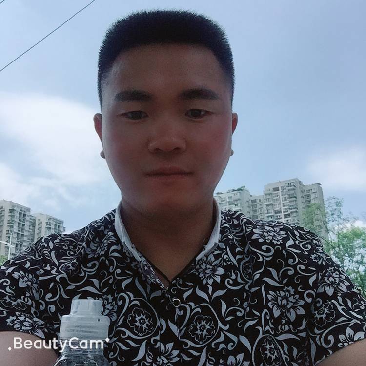 化羽烂漫的照片