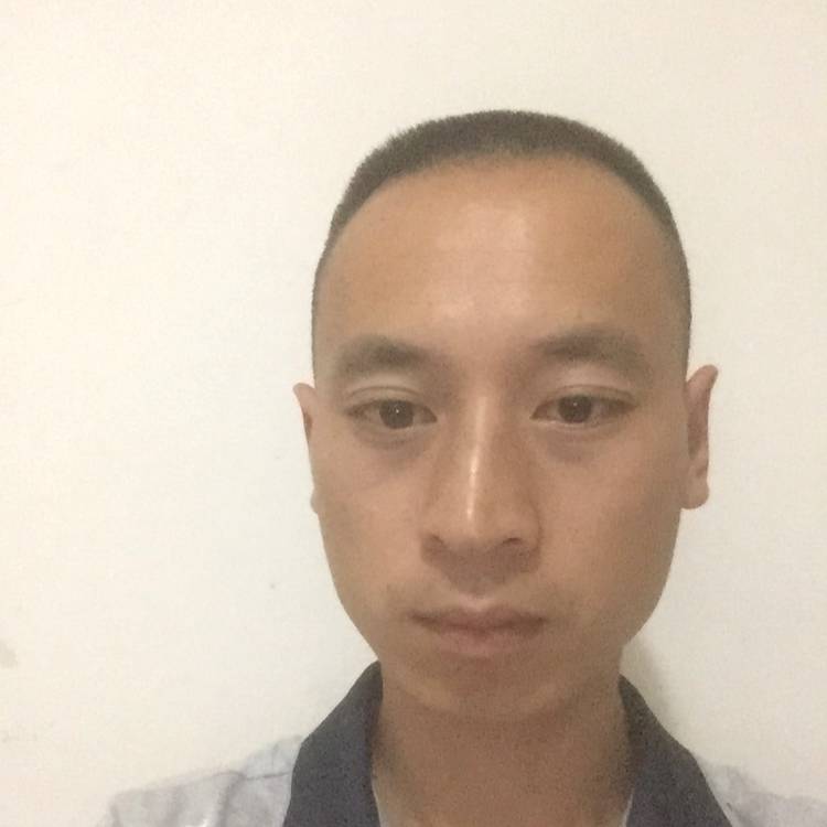小蝴蝶高高的照片