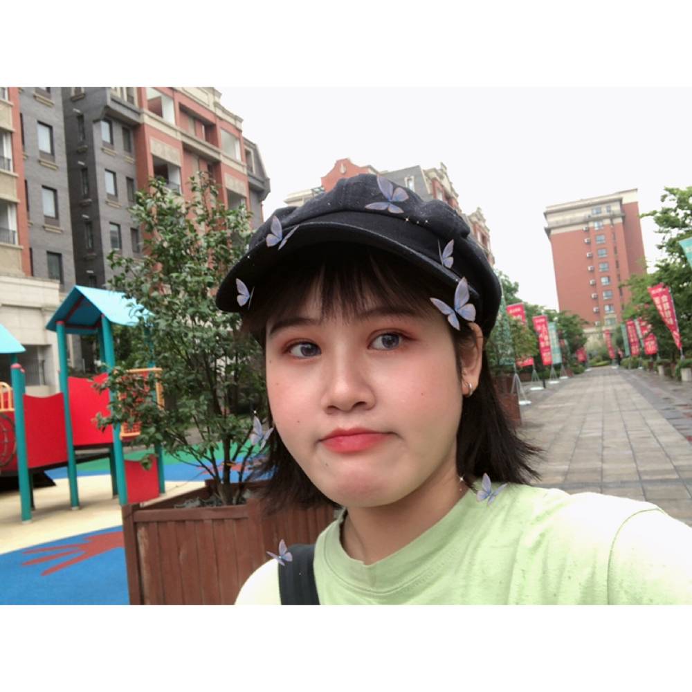 二毛的白砂糖的照片