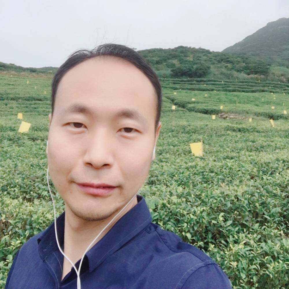 枫桥08的照片
