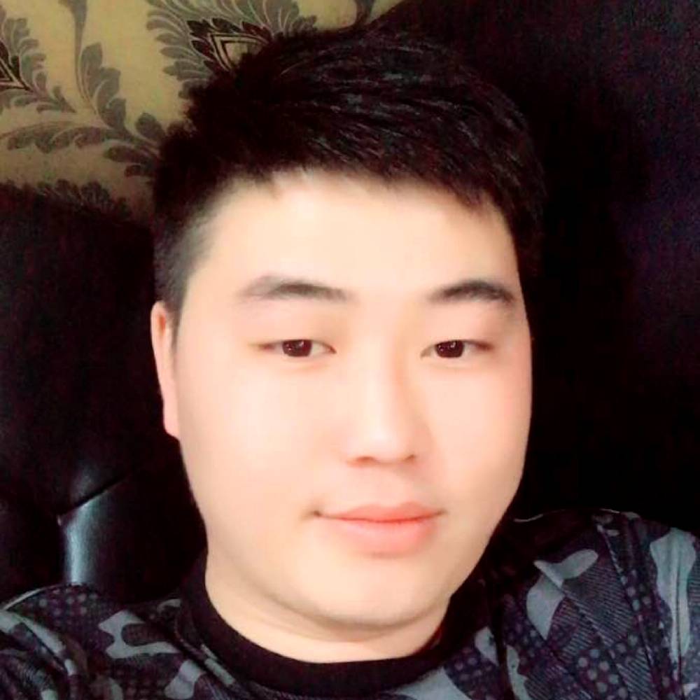 刺猬谨慎的照片