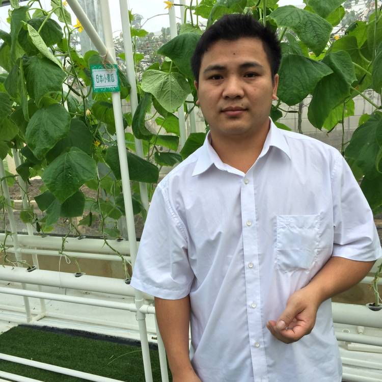 鸡翅的苹果的照片