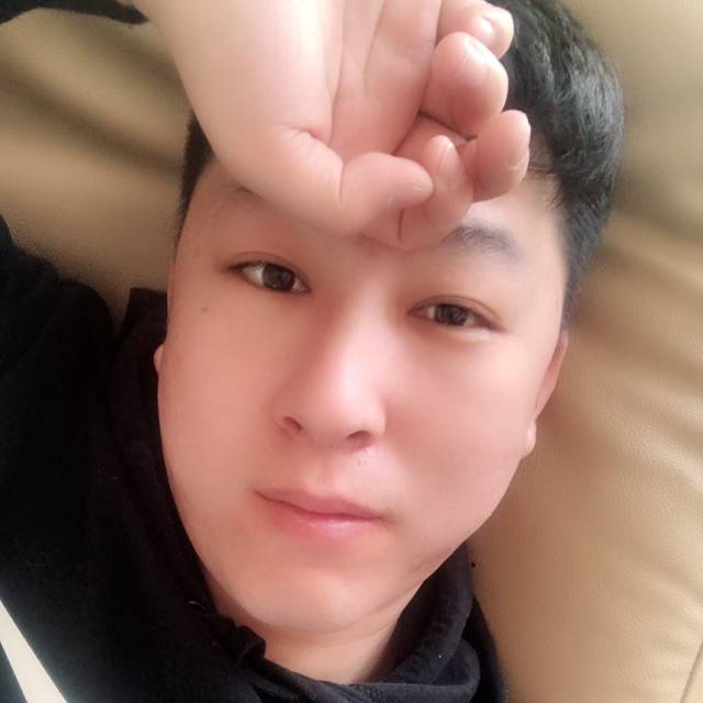 小海豚还怕孤单的照片