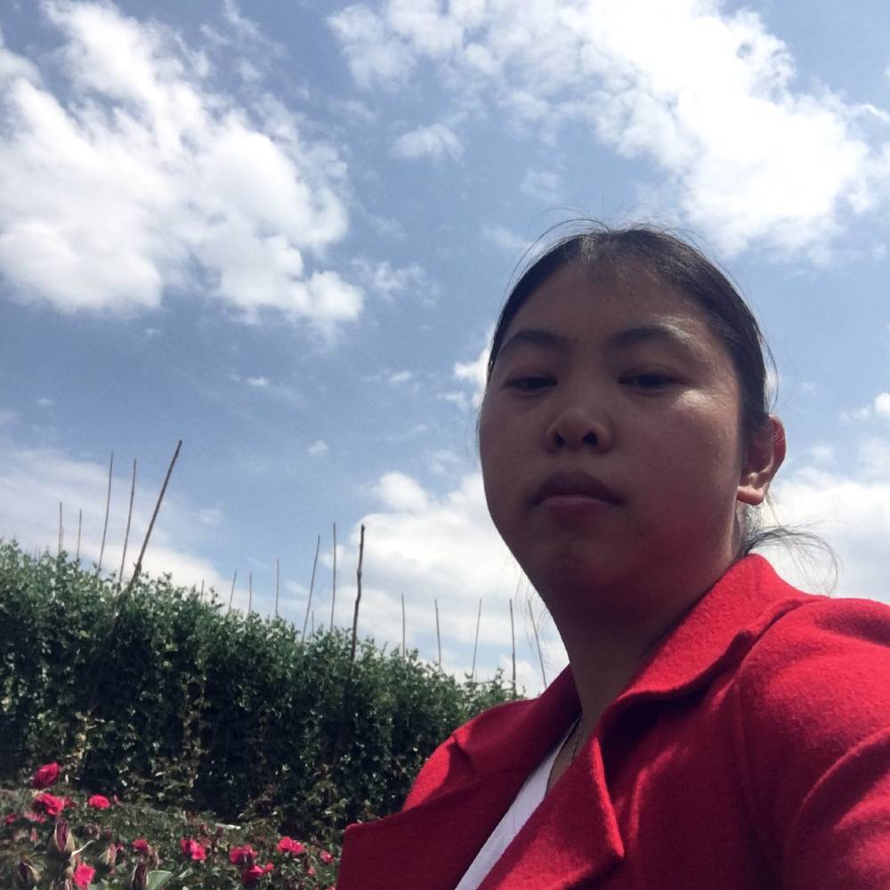 冷静漫步歌曲的照片