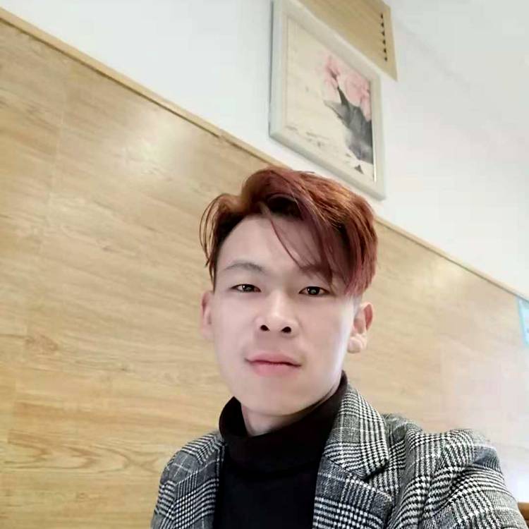 南鸢传统的照片