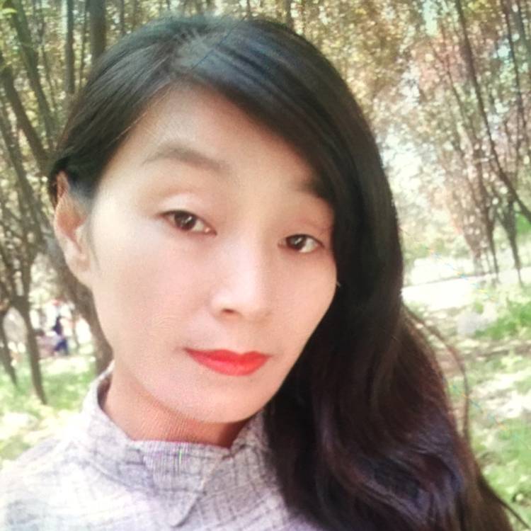 单薄演变汉堡的照片