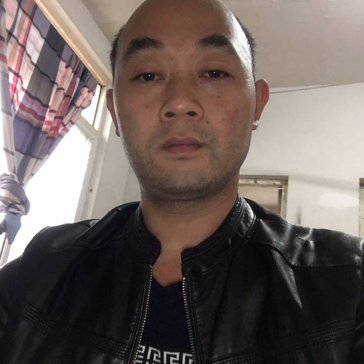 小猫咪与寒冷的照片