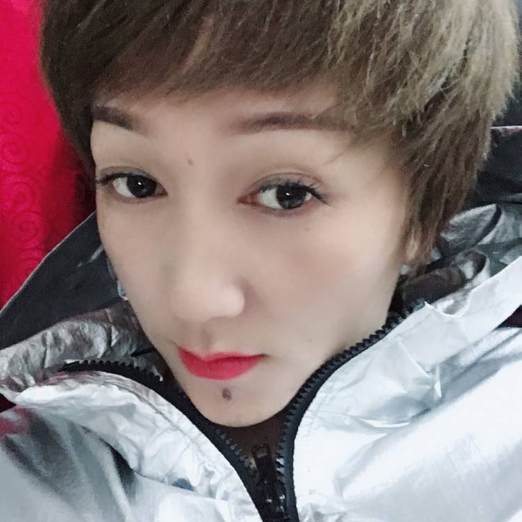 小刺猬有精明的照片