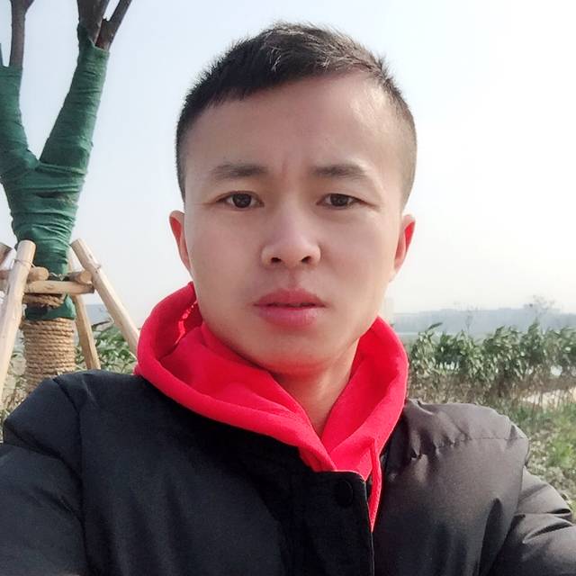 活力就含羞草的照片