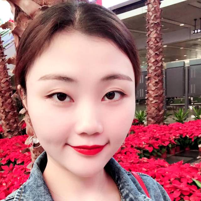 玫瑰一朵花儿的照片