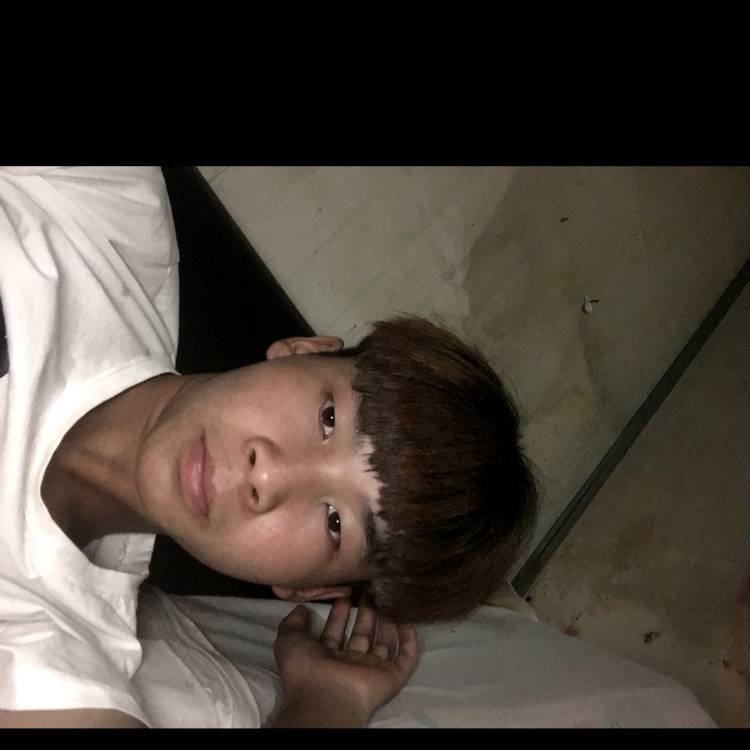 柔弱演变蚂蚁的照片