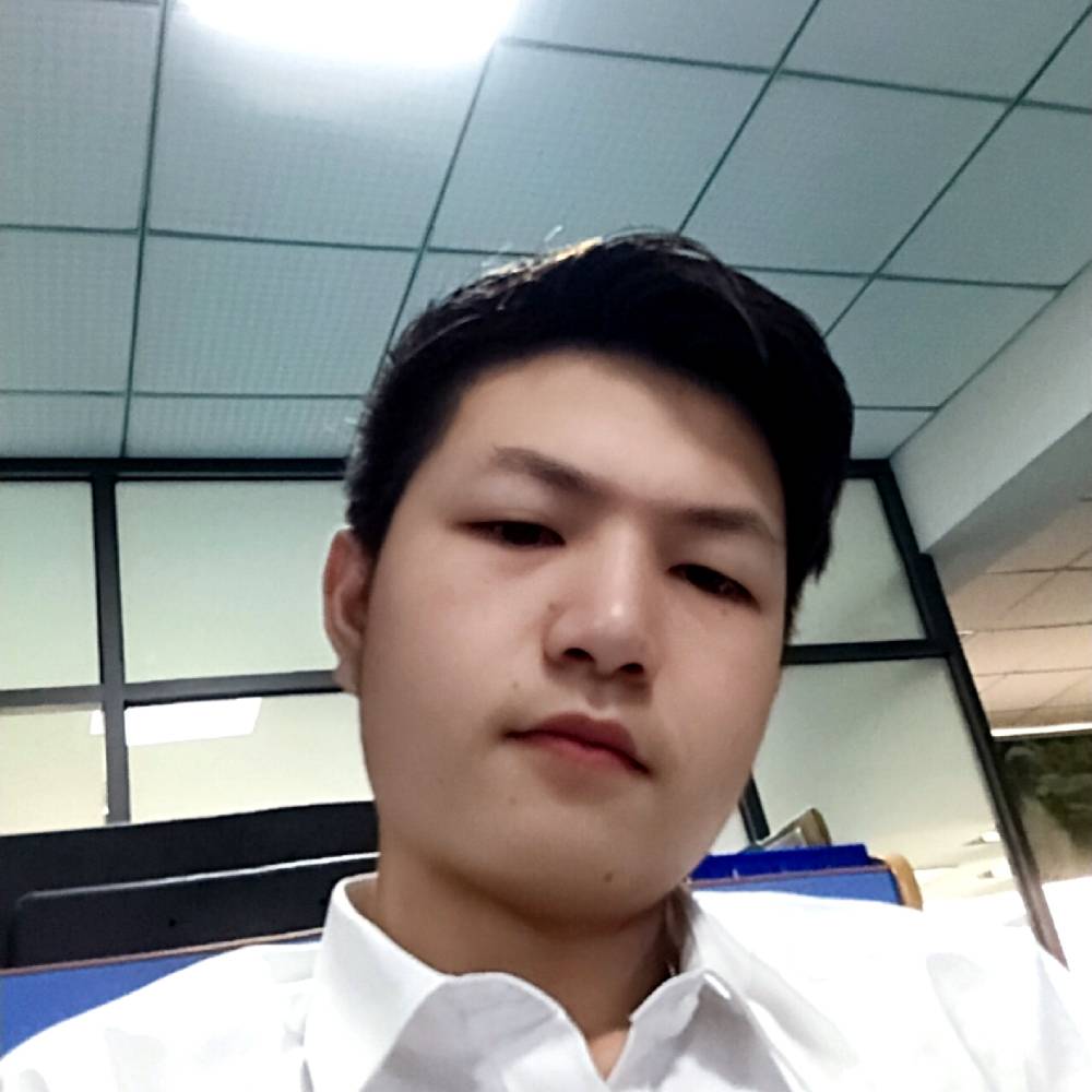 落叶1的照片