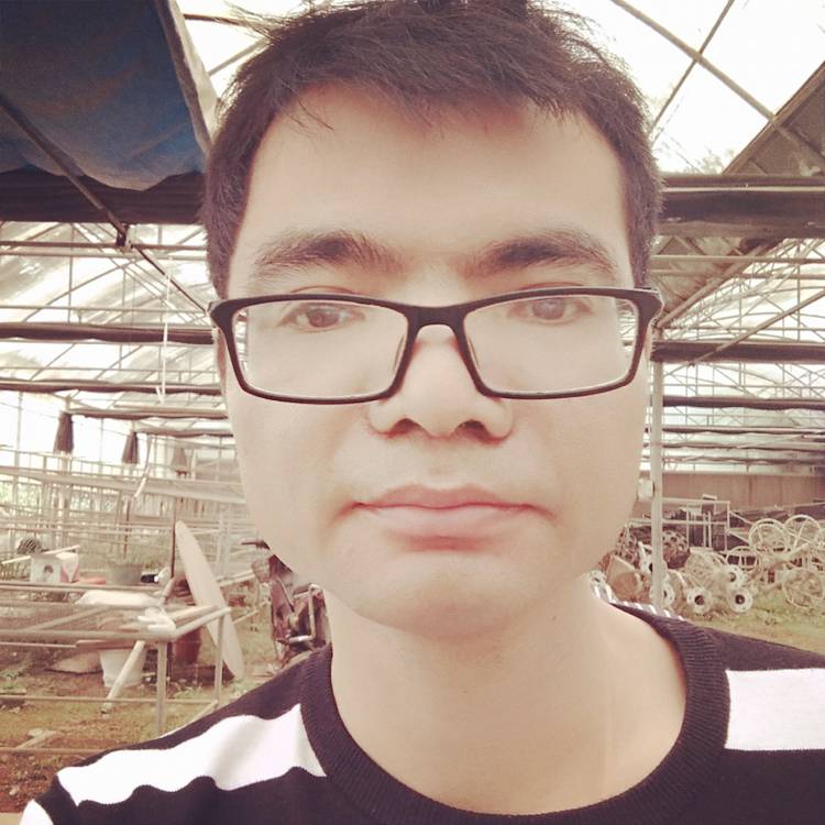 晚熟的照片