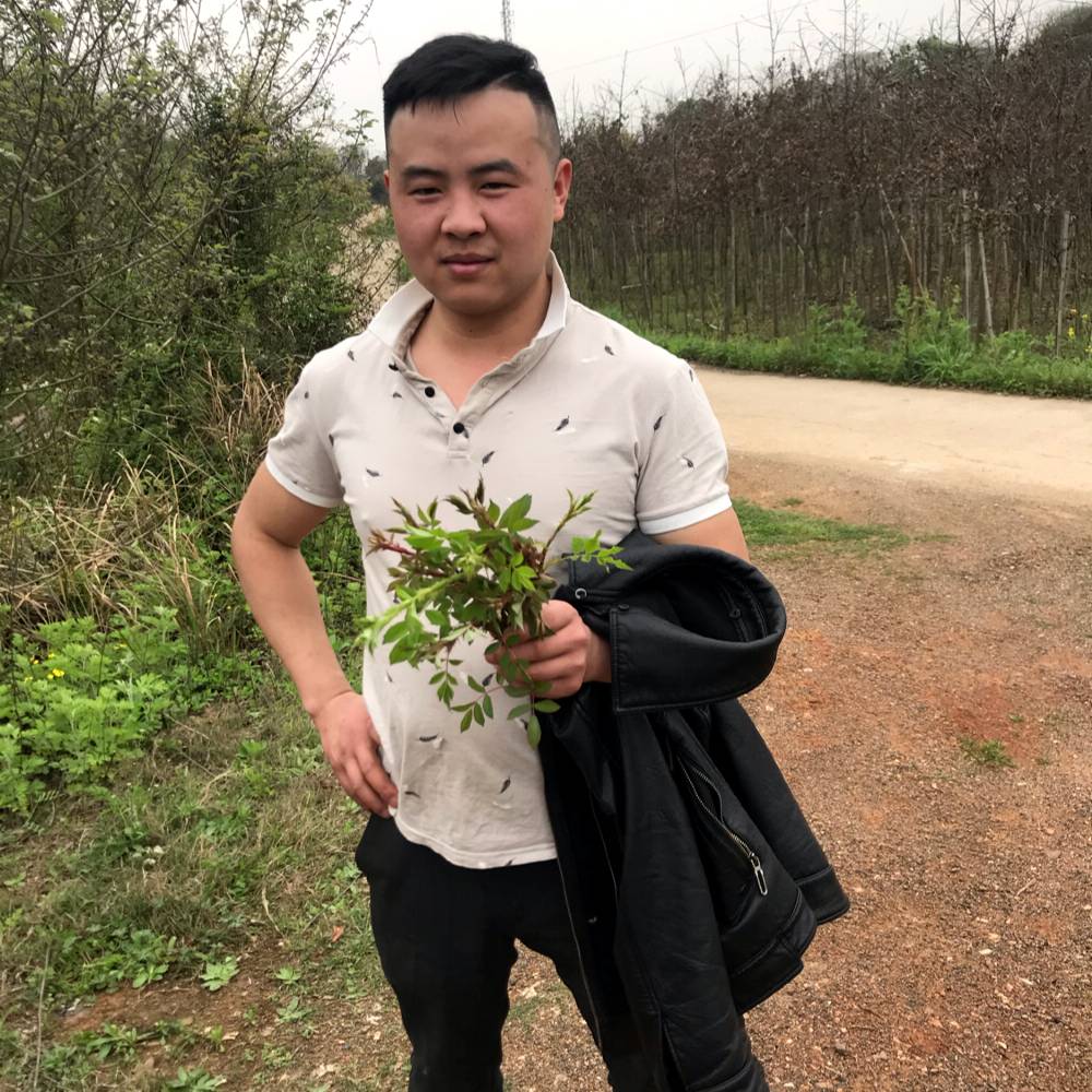 冷风激昂的照片