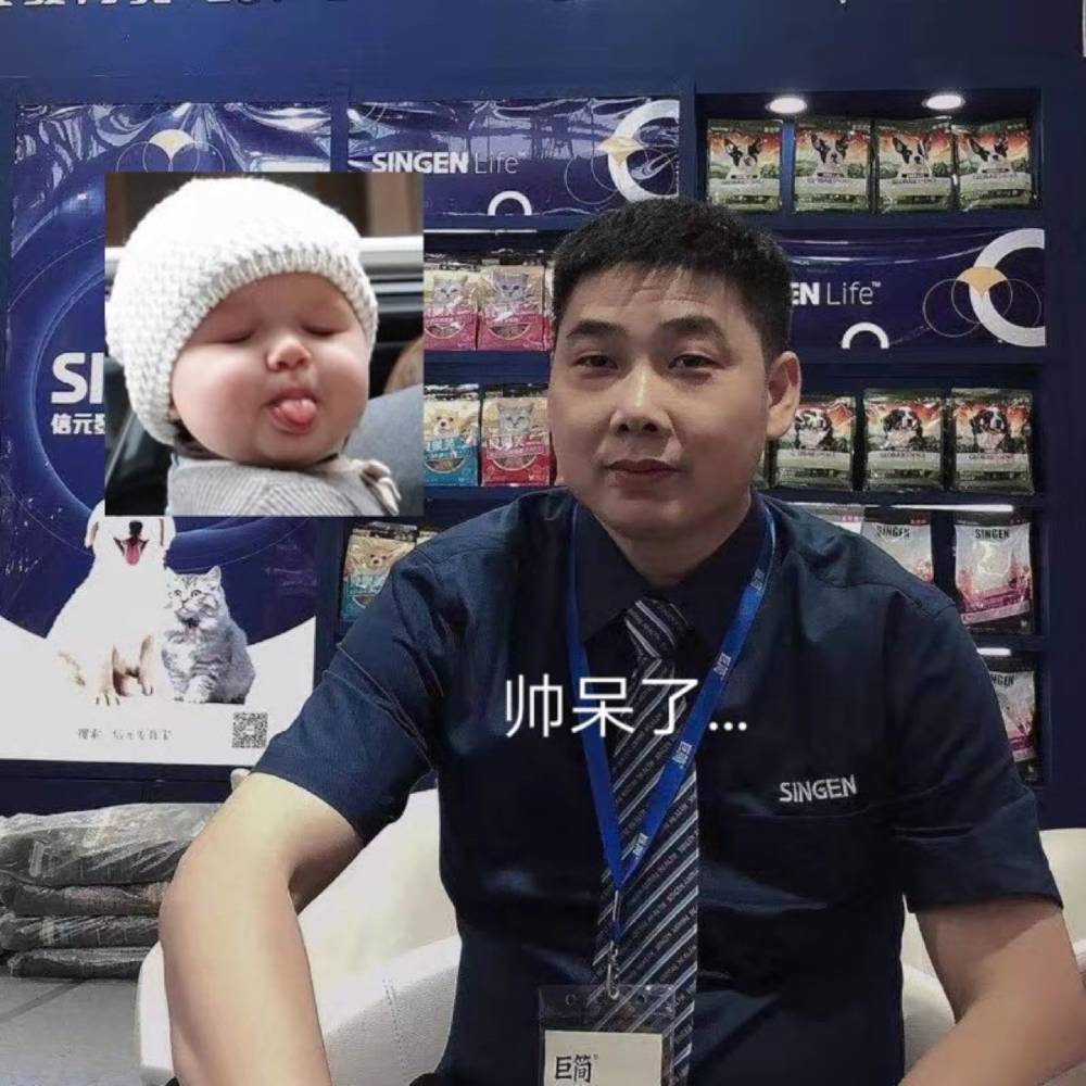 如意用龙猫的照片