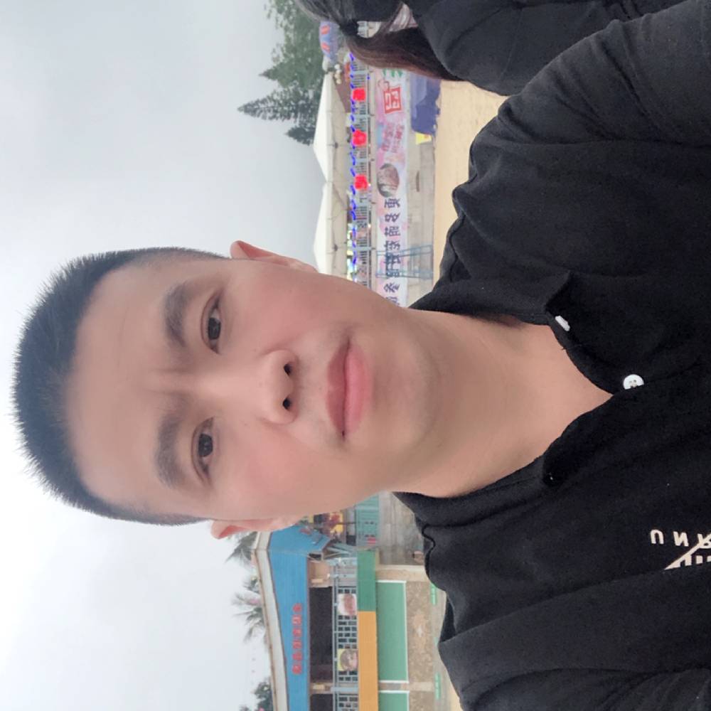 粗暴爱恋鸵鸟的照片