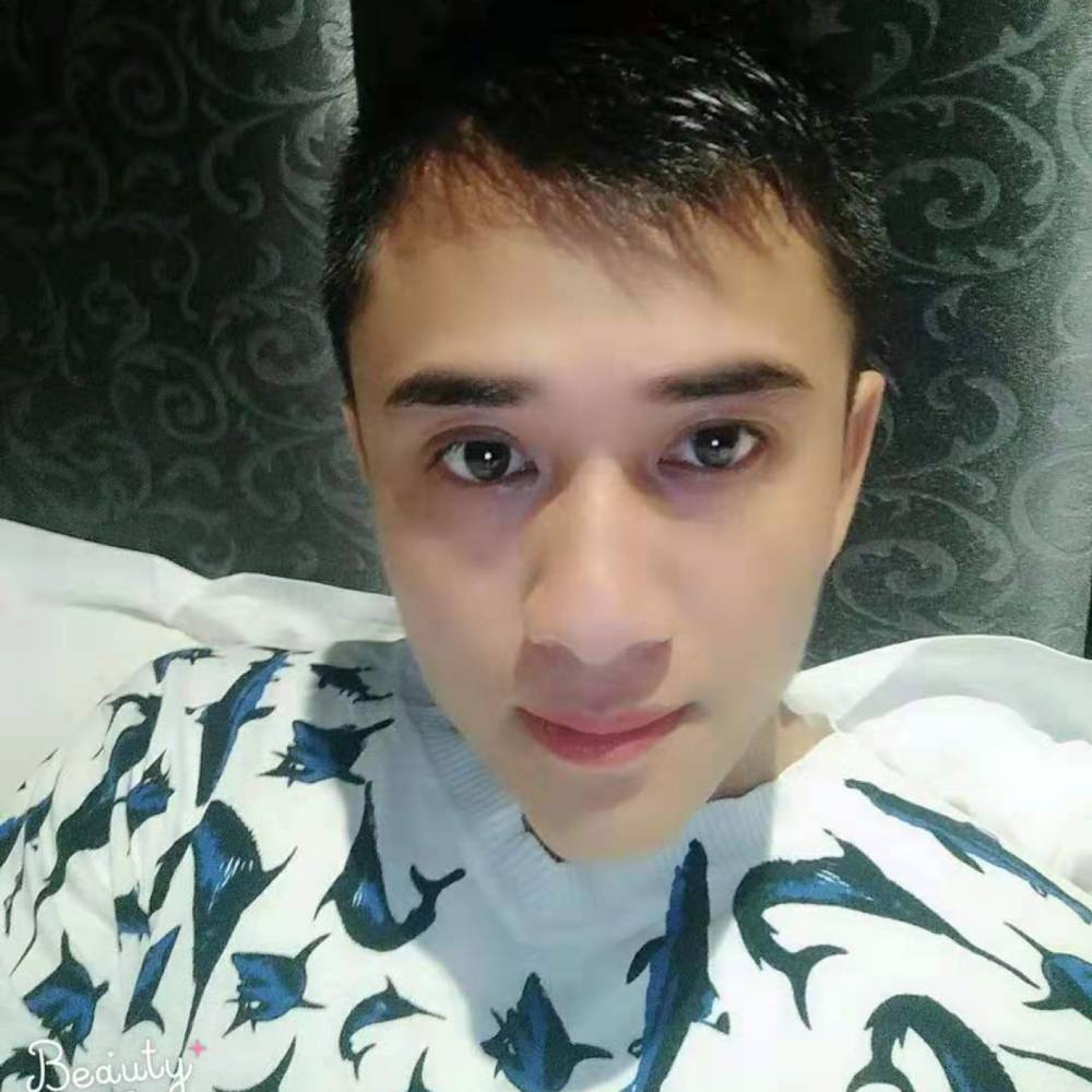 哈士奇乖的照片