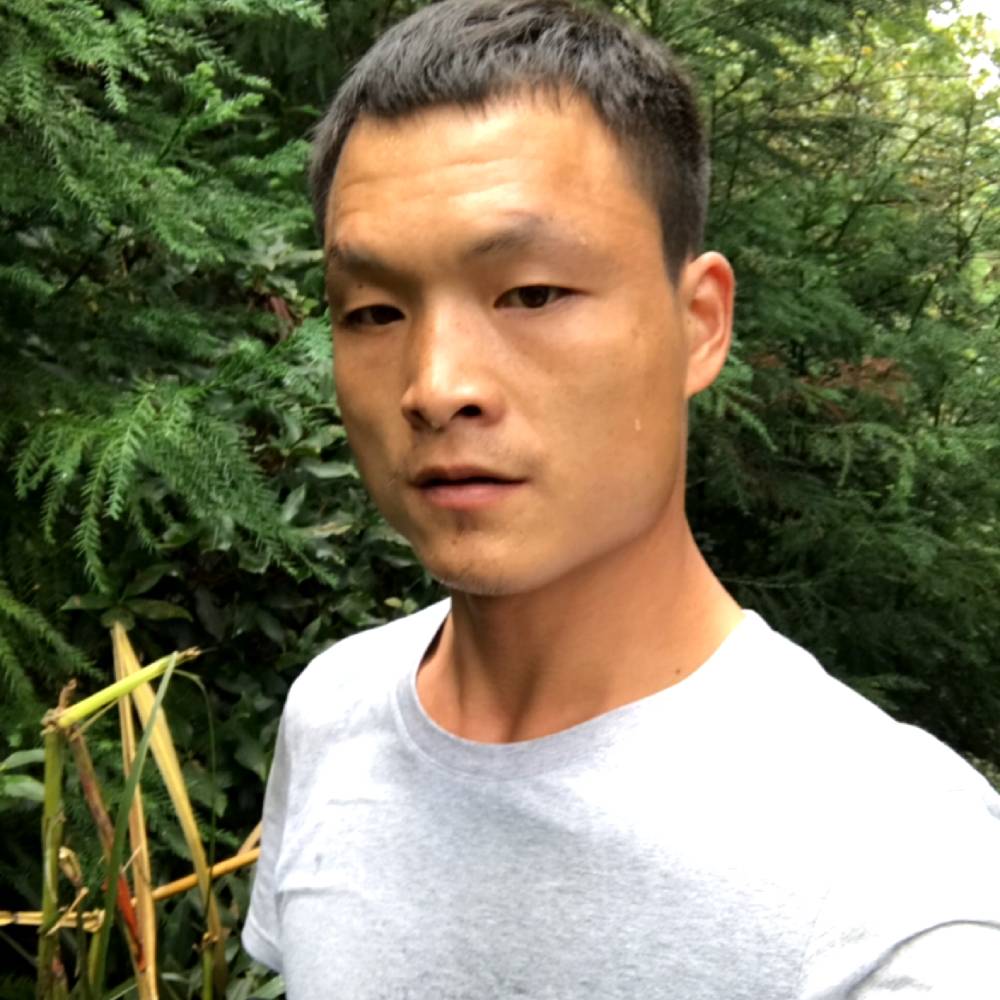 逐风想人陪的照片