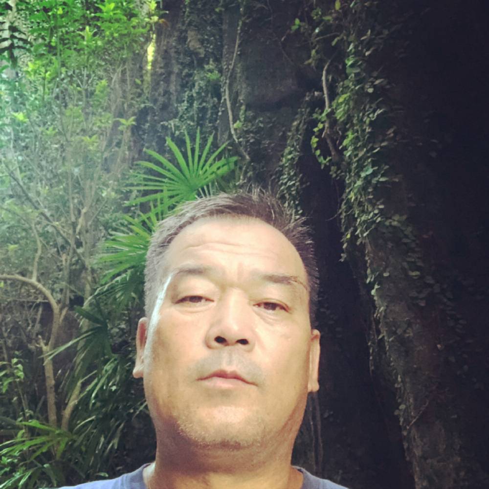 刺猬的多情的照片