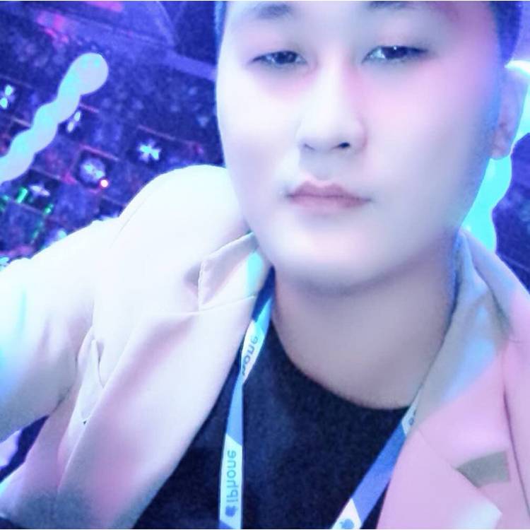 翅膀蹙眉可爱的照片