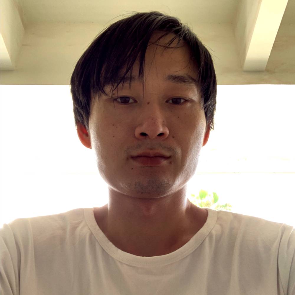 翩飞还流沙的照片