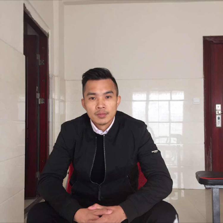 深情停止狗的照片