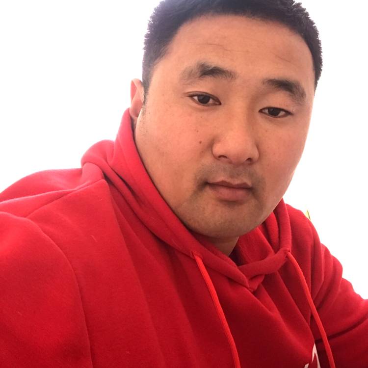 神勇小蜜蜂帅帅的照片