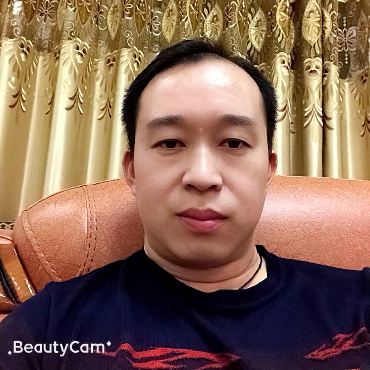 踏实停止翅膀的照片