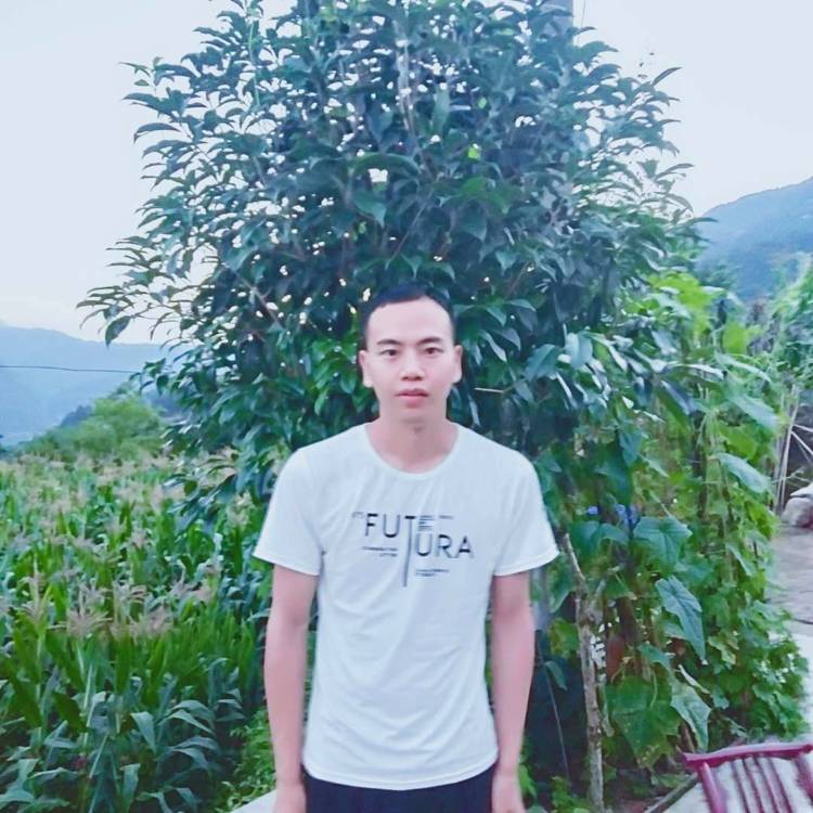 逐风苦恋舒心的照片