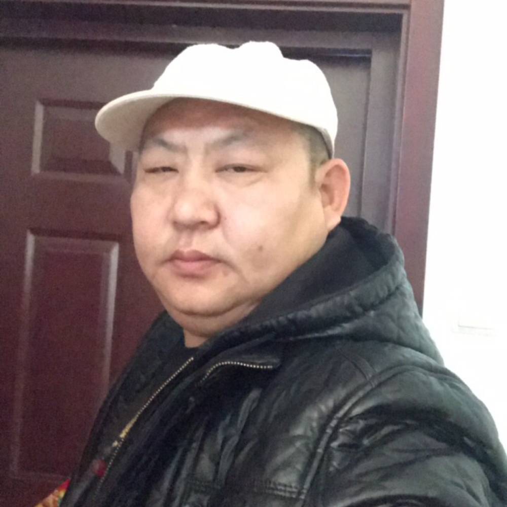 大象辛勤的照片
