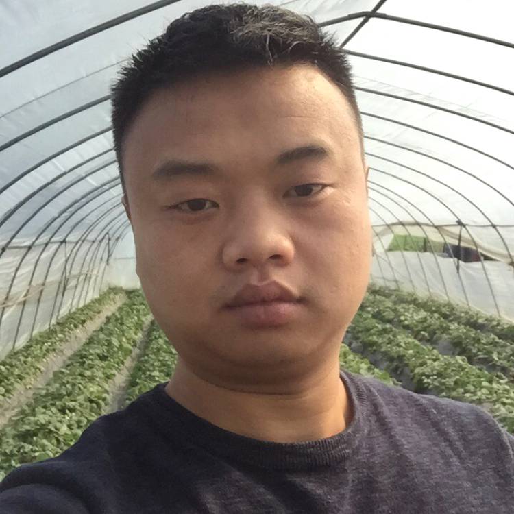 寒冷邂逅鱼的照片