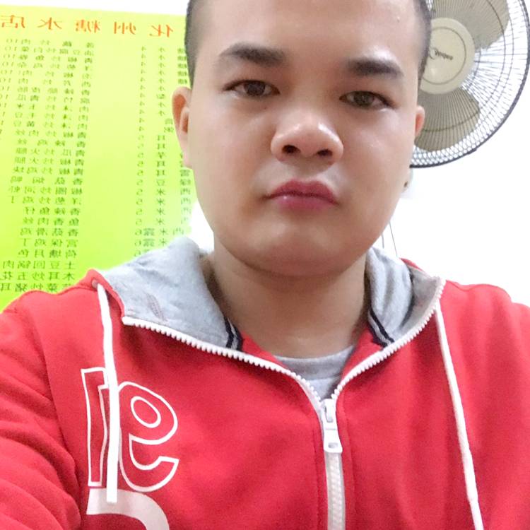 笑点低爱树叶的照片