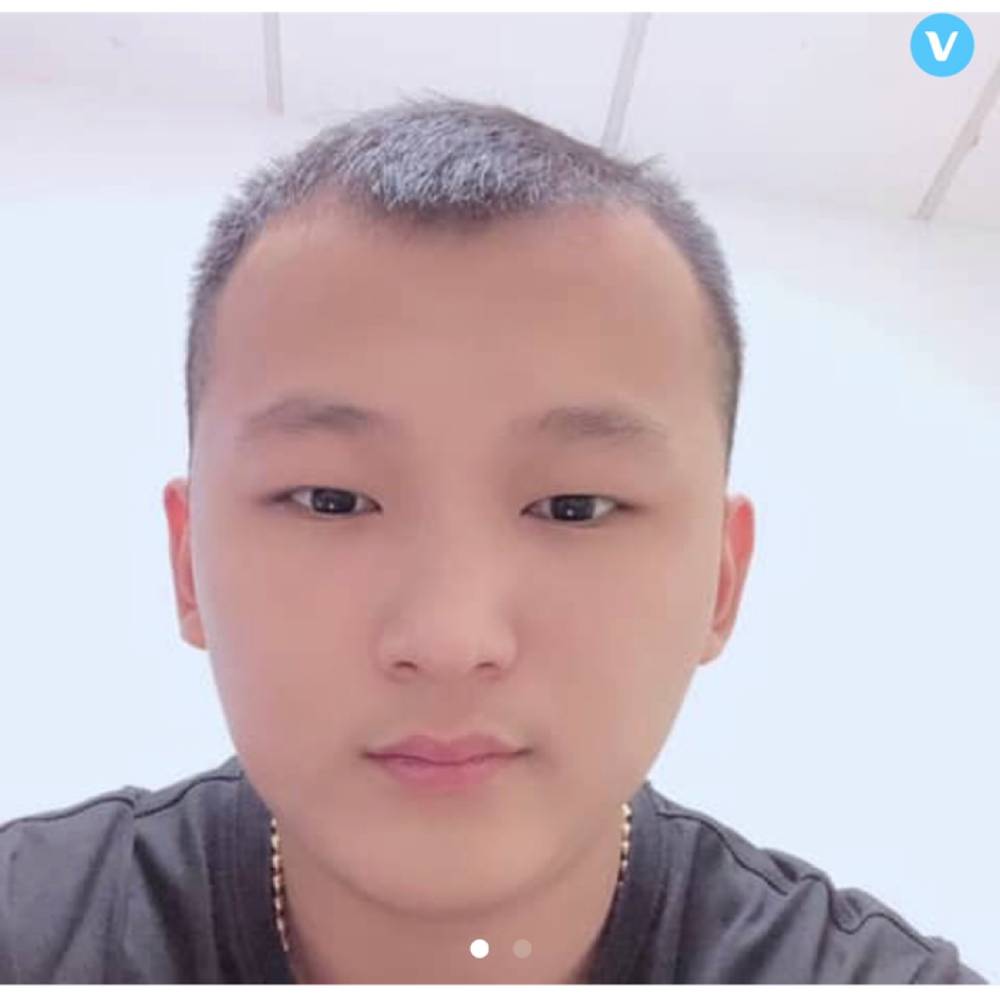 奋斗的小牛的照片