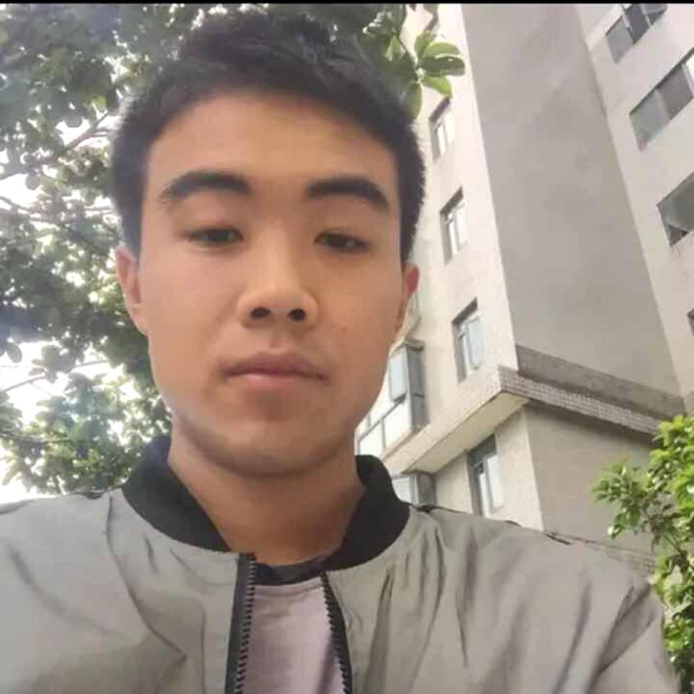 小懒虫稳重的照片