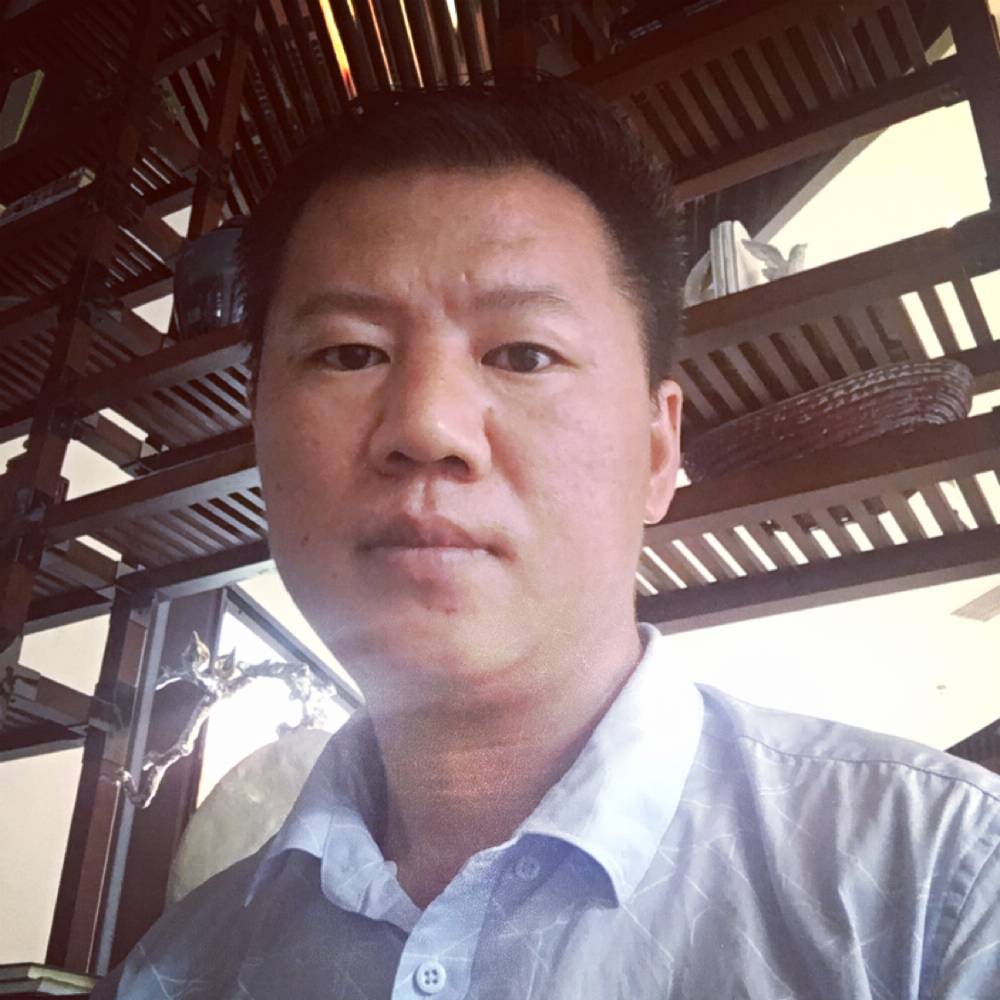 大雁温柔的照片