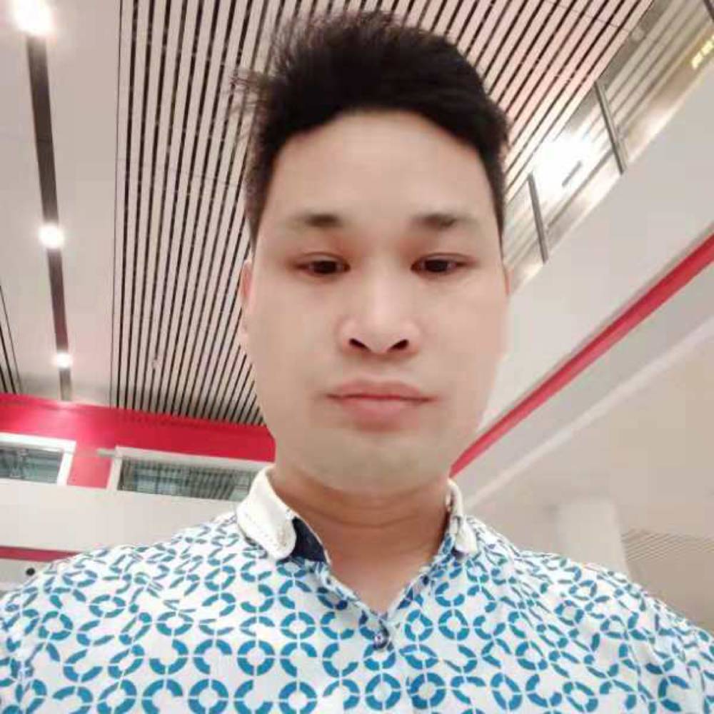 红玫瑰演变繁荣的照片