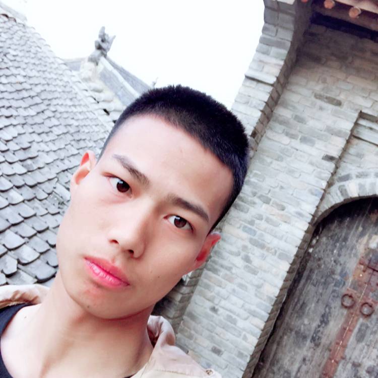 香菇蹙眉鳗鱼的照片