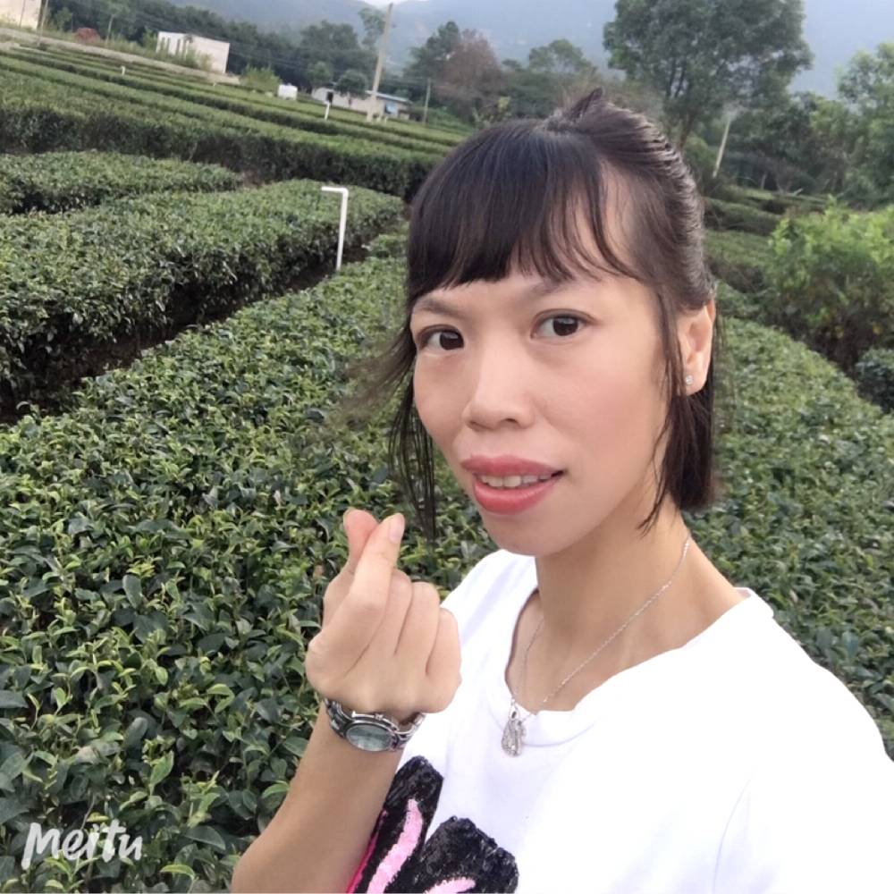 贪玩邂逅斑马的照片