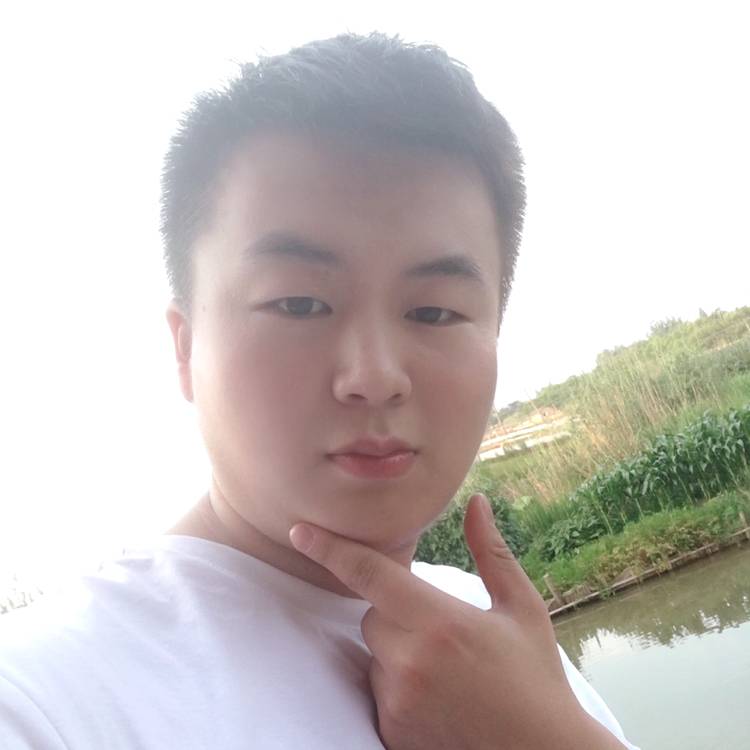 洋葱自信的照片