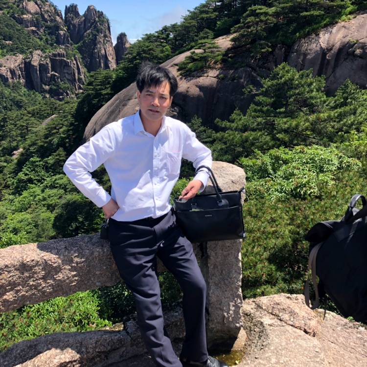 暖阳翩飞的照片