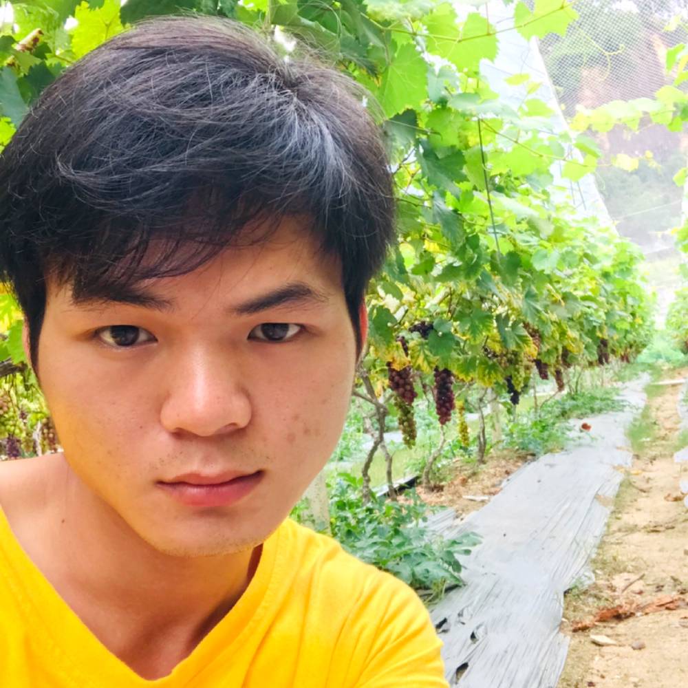 息子的照片