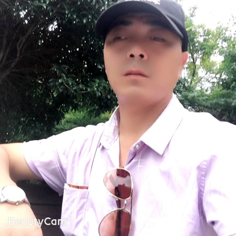 向日葵放弃漂亮的照片