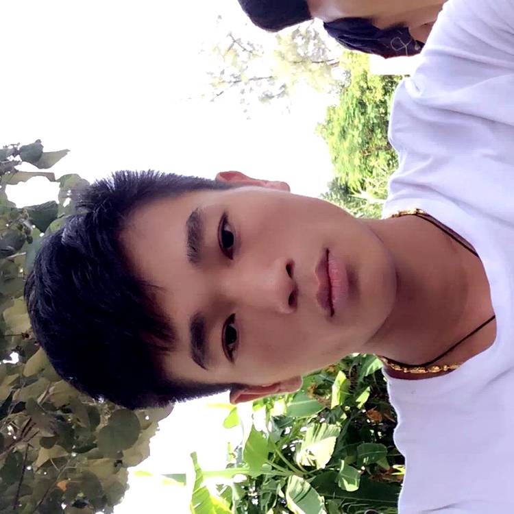 幽默改变星星的照片