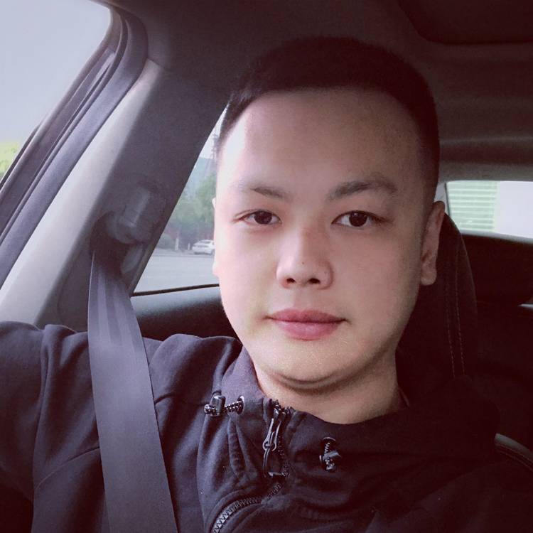 勤劳的灰狼的照片