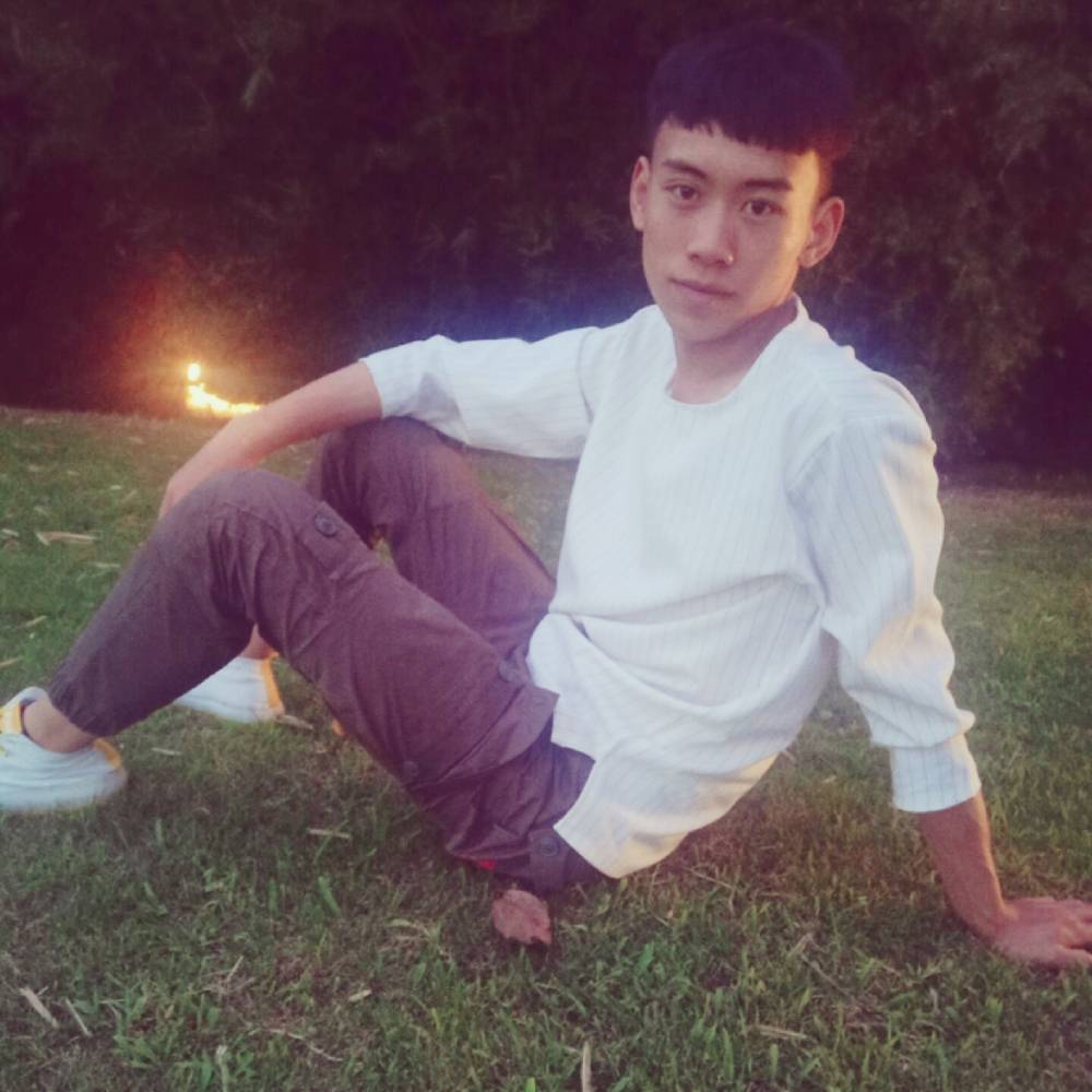 小懒猪漫步矮小的照片