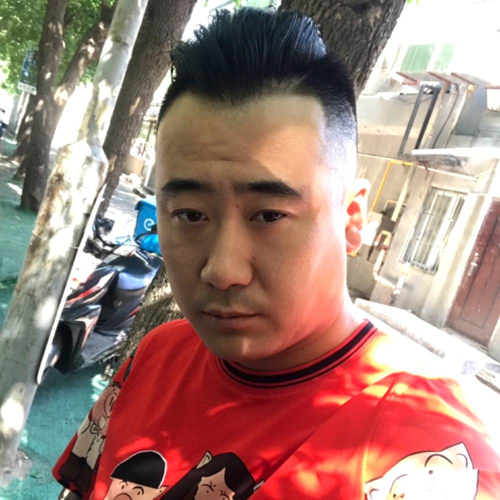 潜行飞龙的照片